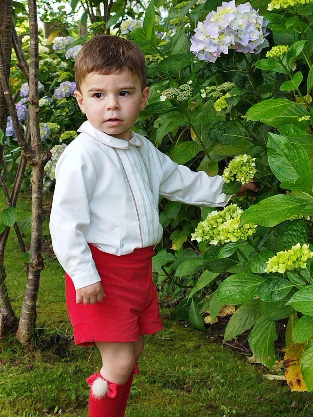 Sonata Boys Shirt And Red Shorts Set AW (Made to order)