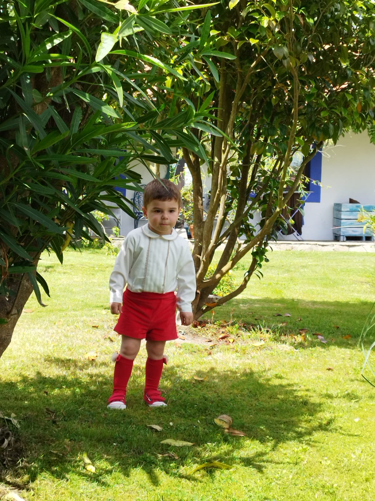 Sonata Boys Shirt And Red Shorts Set AW (Made to order)