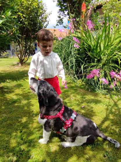 Sonata Boys Shirt And Red Shorts Set AW (Made to order)