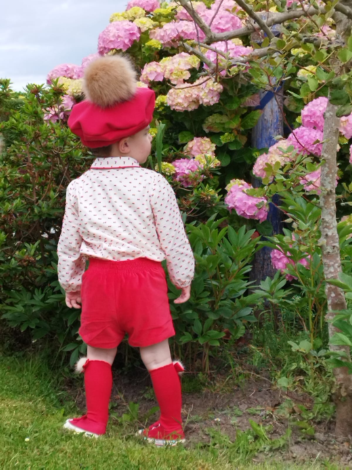 Sonata Boys Red Plumetti Shirt & Shorts Set AW (Made to order)