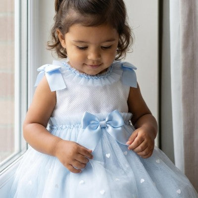 Baby Girl Blue Tulle Mesh Dress